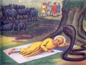 Guru Nanak and the Snake